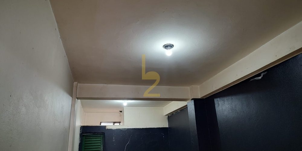29