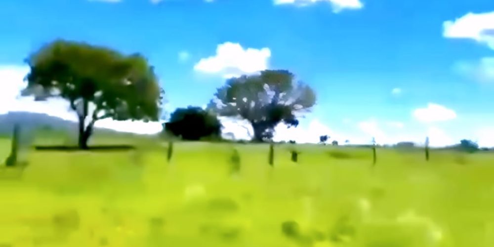 7c69bddd-79f3-49d1-9c83-ea1ceaf0d1b1